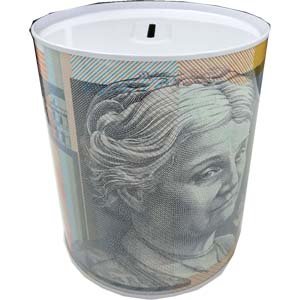 Money Tin medium