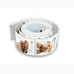 YP $1.70